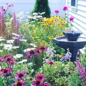 Meet your Posher, Glenda